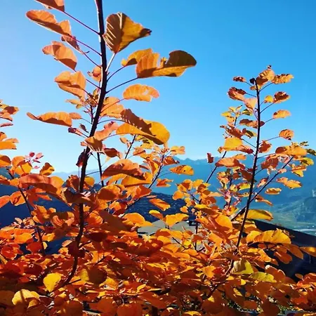 Charming With Hill View *