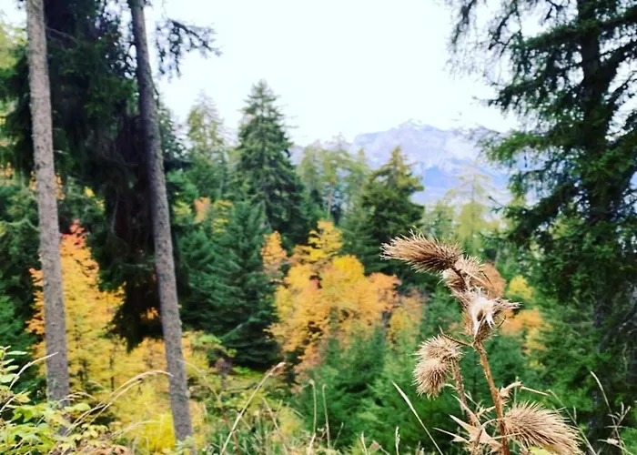 아파트 Charming With Hill View *