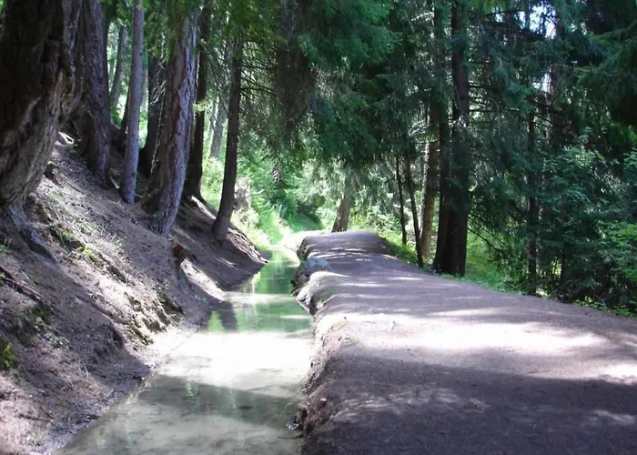 Апартаменты Charming With Hill View *