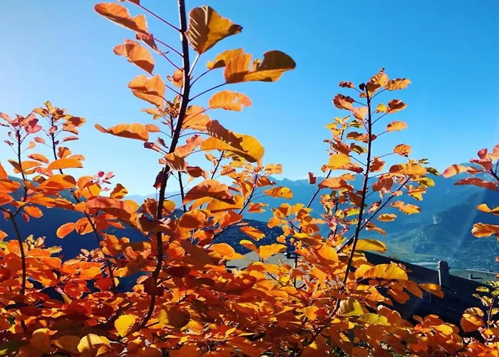 Charming With Hill View *